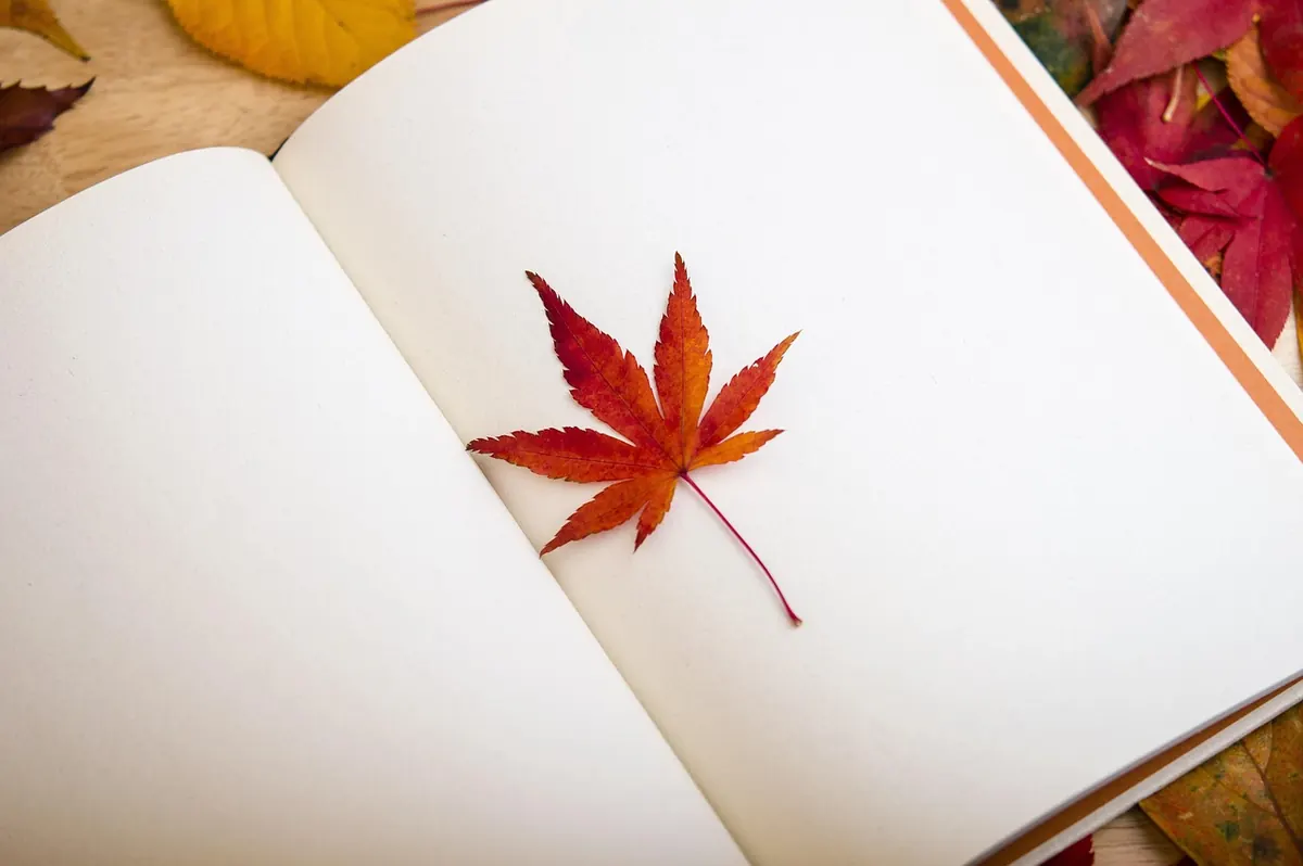 Traditional vs Self-Publishing in the UK: A Side-by-Side Comparison